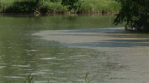 Toxic algae on Colorado ponds, lakes caused by recent storms and high temps